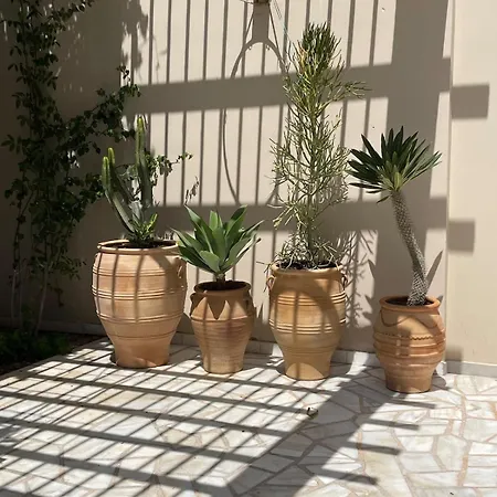 Tiffany Mare Ayia Napa