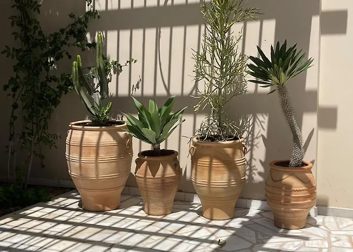 Tiffany Mare Ayia Napa